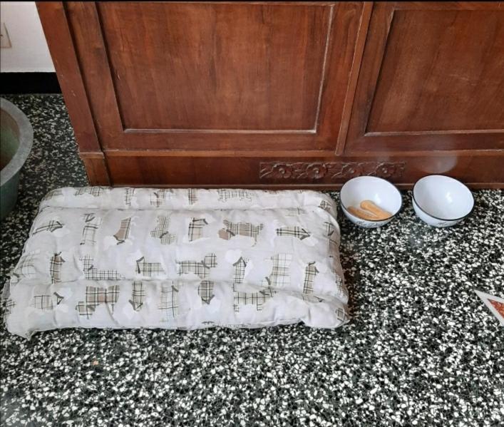 Serra Rocco La Tana Dei Conigli 아파트 외부 사진